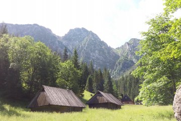 gallery-img