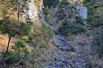 gallery-img