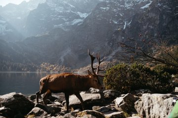 gallery-img