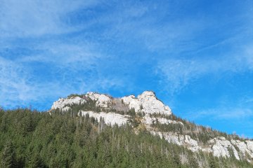 gallery-img