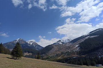 gallery-img