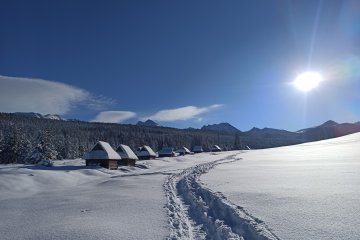 gallery-img