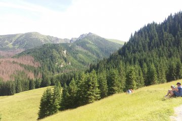 gallery-img