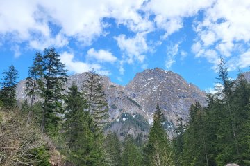 gallery-img